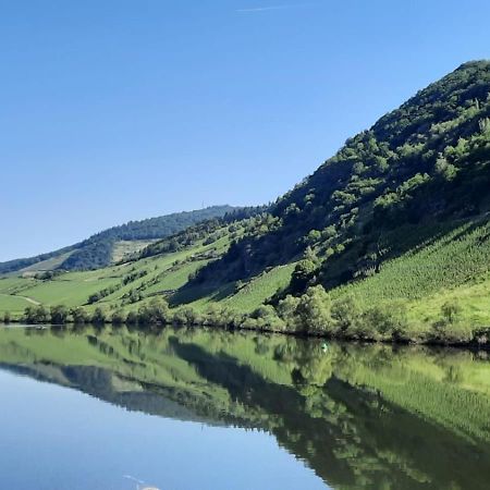 Ferienwohnung Roter Riesling Zell an der Mosel Bagian luar foto