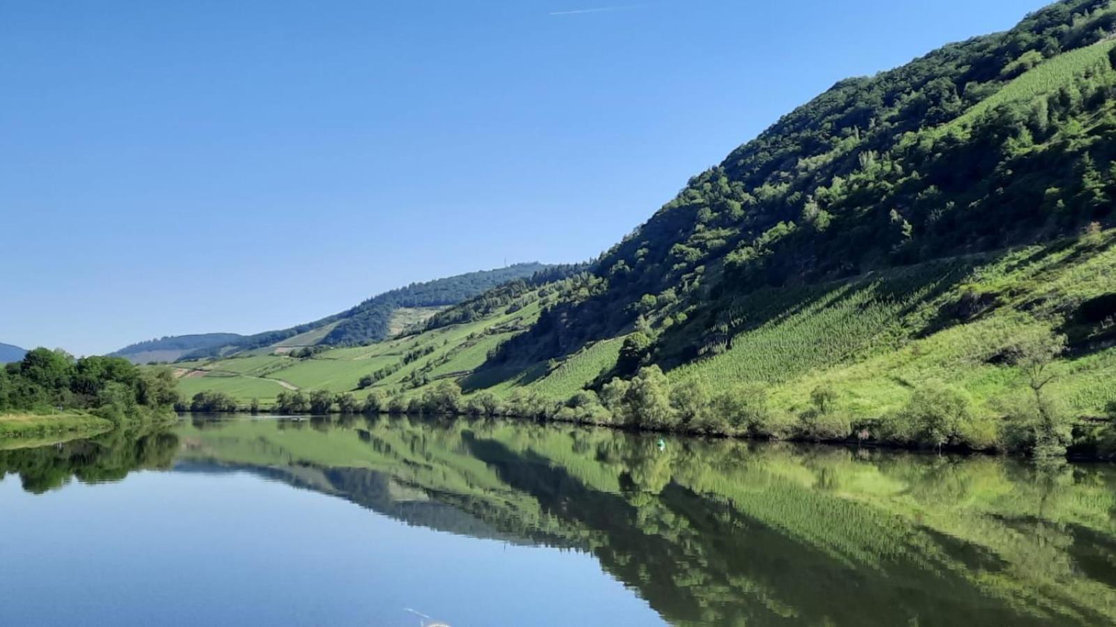 Ferienwohnung Roter Riesling Zell an der Mosel Bagian luar foto